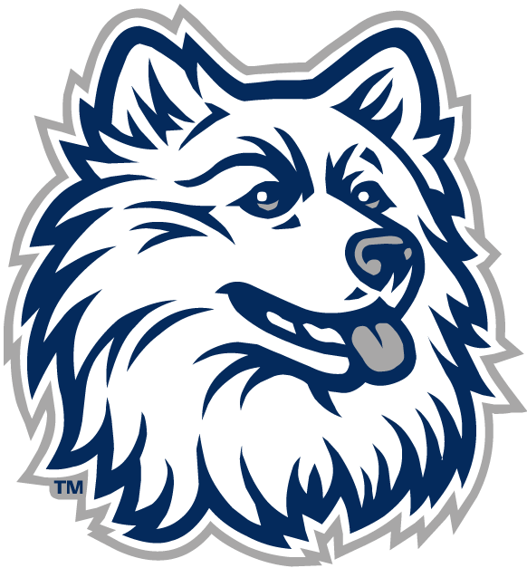 UConn Huskies 1996-2012 Alternate Logo v2 diy DTF decal sticker